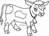 Cow Calf Coloring Pages Printable Color Getcolorings Print Cartoon Getdrawings sketch template