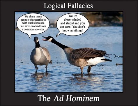 ad hominem logical fallacies ad hominem fallacy examples