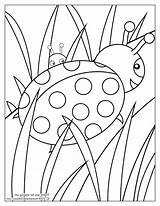 Coloring Pages Bug Grass Lady Behind Color Leaf Insect Grocery Complementary Ladybug Books Bugs Printable Kids Drawing Getcolorings Tegninger Store sketch template