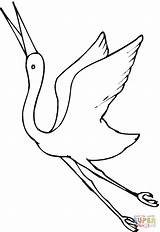 Crane Gru Grullas Kranich Grulla Malen Flying Ausmalbilder Disegnare Cranes Animal sketch template