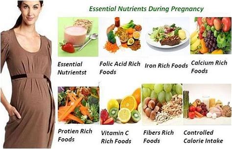 Discover A Healthy Diet For Pregnant Women With 19 New Tips – V Kool