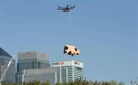orchard pig experiments  flying pig drone delivery service foodbev media