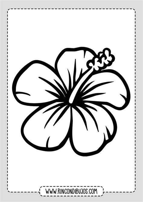 colorear dibujos de flores bonitas rincon dibujos hawaii flowers