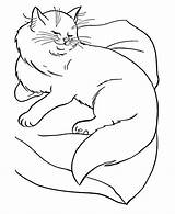 Coloring Cat Pages Printable Kids Color Pillow Sassy Gif sketch template
