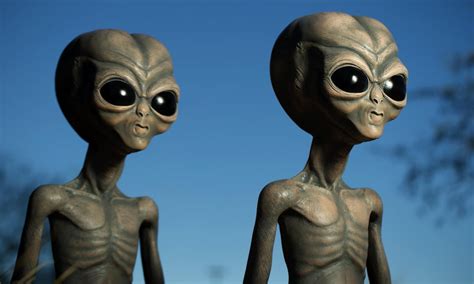 alien alien alienanthology twitter warring alien  predator races descend   rural