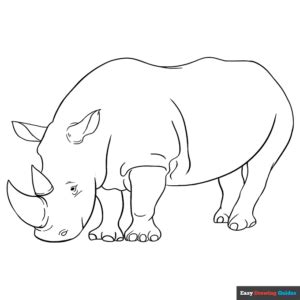 rhino coloring page easy drawing guides