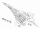Concorde Cutaway Drawing First Print sketch template