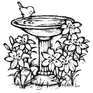 top bird bath coloring pages   hot coloring pages