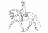 Dressage Horse Coloring Pages Lineart Drawing Deviantart Drawings Color Horses Printable Outline Sketch Show Jumping Sketches Print sketch template