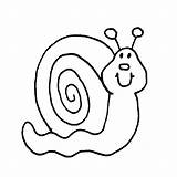 Escargot Caracol Caracoles Lumaca Snail Siput Boyama Hayvan Okul Oncesi Resimleri Kolay Lumache Colorare Mewarnai Putih Hitam Activite Dessins Gratuit sketch template