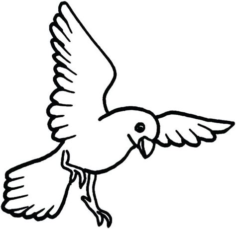 bird coloring pages  coloringfoldercom bird coloring pages