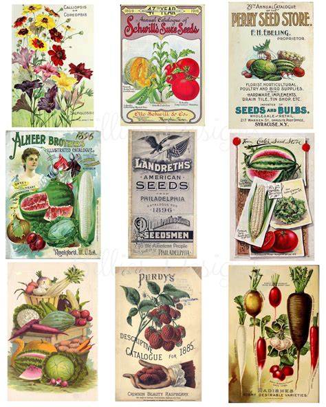 printable vintage seed packets instant  collage sheet etsy