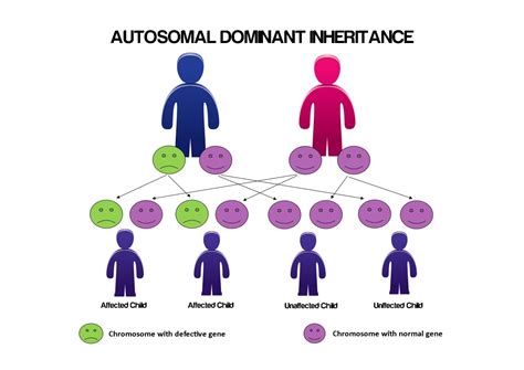 inheritance patterns charcot marie tooth uk