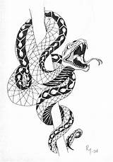 Snake Tattoo Drawing Head Around Tattoos Stick Drawings Snakes Cobra Hissing Rattlesnake Google Japanese Sketches Twining After Runs Several Practice sketch template