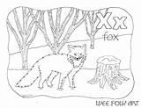 Coloring Fox Letter Alphabet Nature Homeschool Tails sketch template