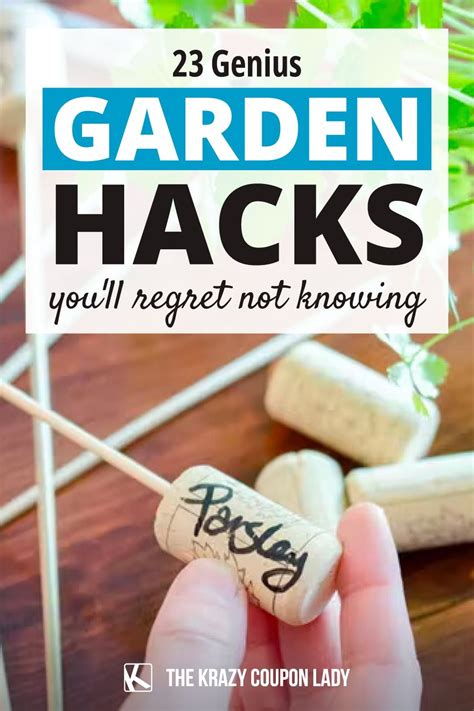 23 genius garden hacks you ll regret not knowing summer hacks summer