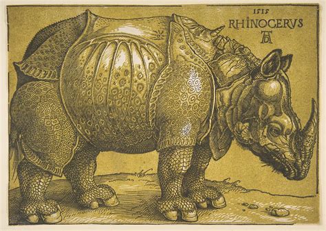 albrecht duerer  rhinoceros  metropolitan museum  art
