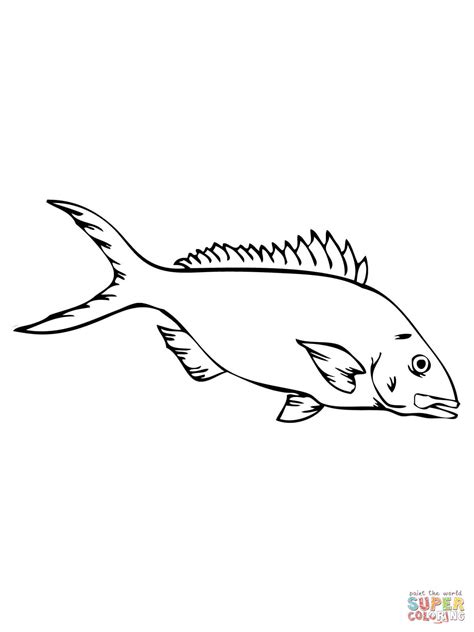 yellowtail snapper coloring page  printable coloring pages