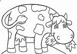 Cow Eating Grass Coloring Pages Dairy Color Farm Netart Getdrawings sketch template