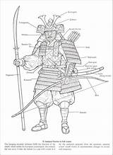 Samurai Warrior Warriors Rainbowresource Designlooter Drawings sketch template