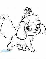 Coloring Pages Puppy Puppies Pets Palace Kitten Princess Printable Printables Pumpkin Print Drawing Dogs Cartoon A4 Pomeranian Cute Size Disney sketch template