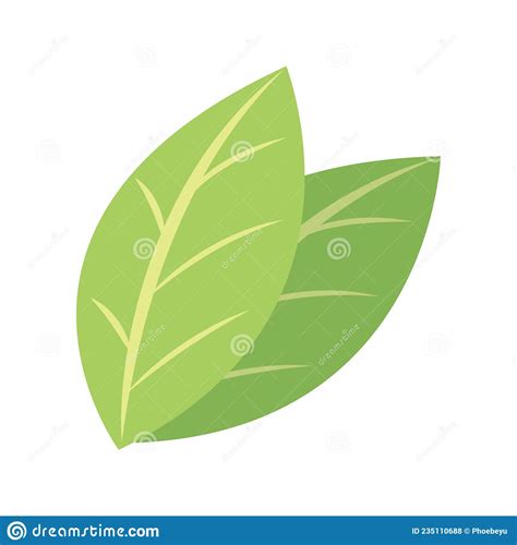 hoja verde vegetal ilustracion del vector ilustracion de delicioso