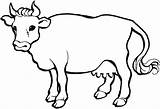 Sapi Mewarnai Lembu Sketsa Vacas Kolase Hewan Tk Vaches Vaca Mewarna Vache Ganado Koleksi Cows Bovinos Vacuno Buey Kanak Dibujar sketch template
