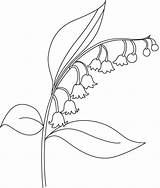 Flower Bellflower Drawing Coloring Beautiful Pages Outline Kids Easy Realistic Visit Drawings Embroidery Bestcoloringpages sketch template