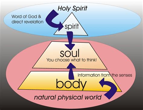triune nature  man spirit soul bible teachings bible knowledge