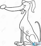 Perro Galgo Greyhound Coloring Perros Windhond Colorare Corriendo Levriero Hond Funny Boek Pagine Justcoloringbook Izakowski sketch template