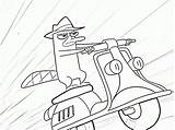 Platypus Perry Ferb Phineas Pepe Dziobak Kolorowanki Kleurplaat Inkleuren June Bron sketch template