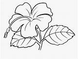 Bunga Hitam Mewarna Pokok Raya Lukisan Contoh Sekolah Dunia Animasi Senang Cikgufareez Mewarnai Buah Sayuran sketch template