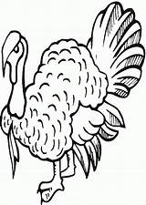 Turkey Coloring Wild Printable Pages Comments Library Clipart Popular Coloringhome sketch template