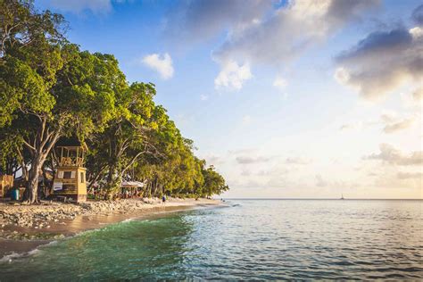 14 Best Beaches In Barbados Pics Eroticcomix