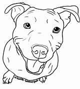 Pitbull Drawing Dog Face Bull Clipart Pit Stencil Clip Drawings Line Puppy Sketch Tattoo Silhouette Outline Coloring Easy Pages Getdrawings sketch template