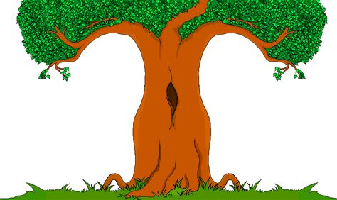 free tree cartoon png download free clip art free clip art on clipart library