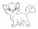 Cat Coloring Pages Cute Kids Fluffy Easy Eyes Printables Tail sketch template