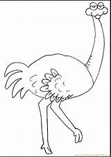 Ostrich Coloring Pages Animals Printable Deve Okul Nest Color Eggs Gif Print Kids Bird Birds Birthday Library Clipart Popular sketch template
