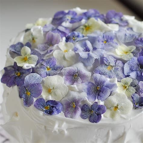 marzipan sugared edible flowers  cake decorating