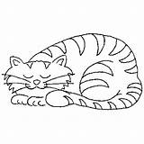 Sleeping Cat Coloring Pages Sketch Printable June Print Color Getdrawings Getcolorings Popular sketch template