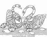 Swan Coloring Illustration Adults Book Adult Vector Stress Stencil Anti Tattoo Raster Shutterstock Zentangle Lines Lace Pattern Style Pic sketch template