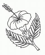 Coloring Pages Hawaiian Printable Flower Flowers Library Clipart sketch template