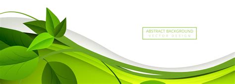 abstract green leaves wave banner background  vector art  vecteezy