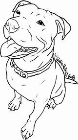 Pitbull Coloring Pages Dog Line Drawing Outline Pit Bull Clipart Realistic Stencil Getcolorings Dogs Carving Staffy Printable Stencils Pitbulls Staffordshire sketch template
