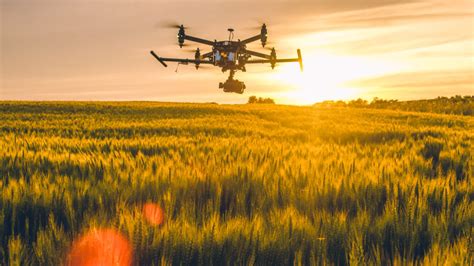 drone flying  field  sunset avante insurance