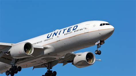 capitol riots flight attendants union seeks  ban pro trump
