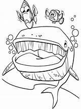 Nemo Finding Gdzie Dory Kolorowanka Crush Marlin Bruce Wydruku Wieloryb Kolorowanki Malowanka Bajki sketch template