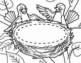 Nest Coloring Bird Pages Couple Their Template Empty Getcolorings Printable Color sketch template