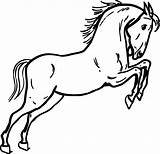 Horse Outline Printable Library Clipart Mustang Coloring sketch template
