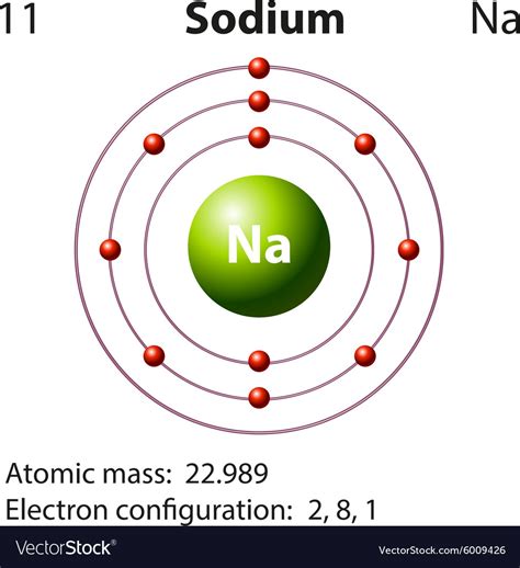 diagram representation of the element sodium vector image